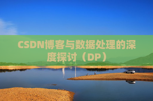 CSDN博客与数据处理的深度探讨（DP）